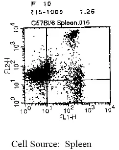 Cd8a Rat Monoclonal Antibody [Clone ID: CT-CD8a] - image 1