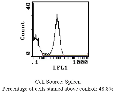 MHC Class II RT1D Mouse Monoclonal Antibody [Clone ID: OX-17] - image 1