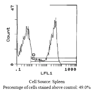 MHC Class II RT1D Mouse Monoclonal Antibody [Clone ID: OX-17] - image 1