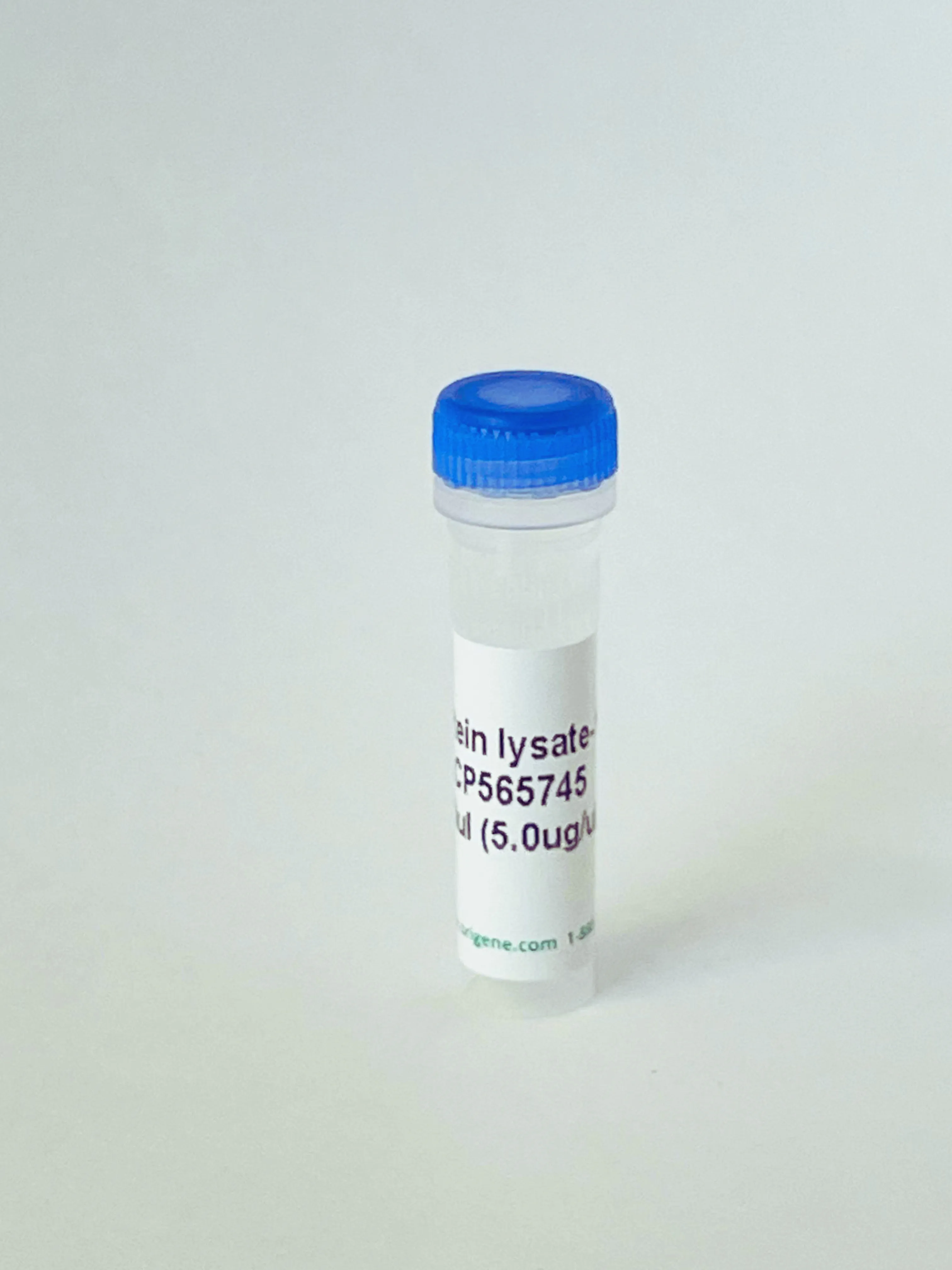Tissue Protein Lysate, Colon - image 1