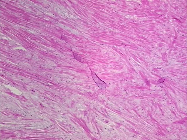 Frozen Tissue Sections, Joint - image 1