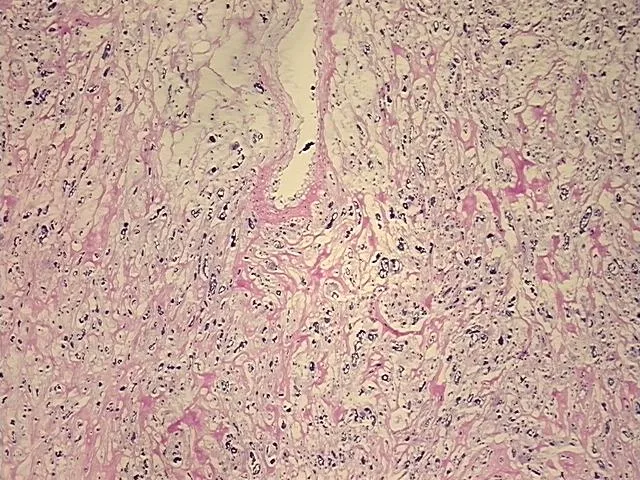 Frozen Tissue Sections, Soft tissue - image 1