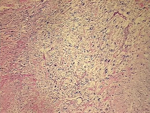Frozen Tissue Sections, Soft tissue - image 1