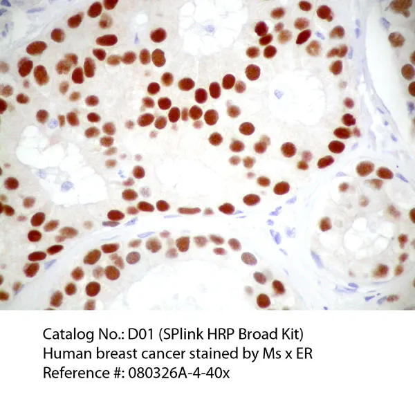 SPlink HRP Broad Spectrum DAB Detection Kit - image 1