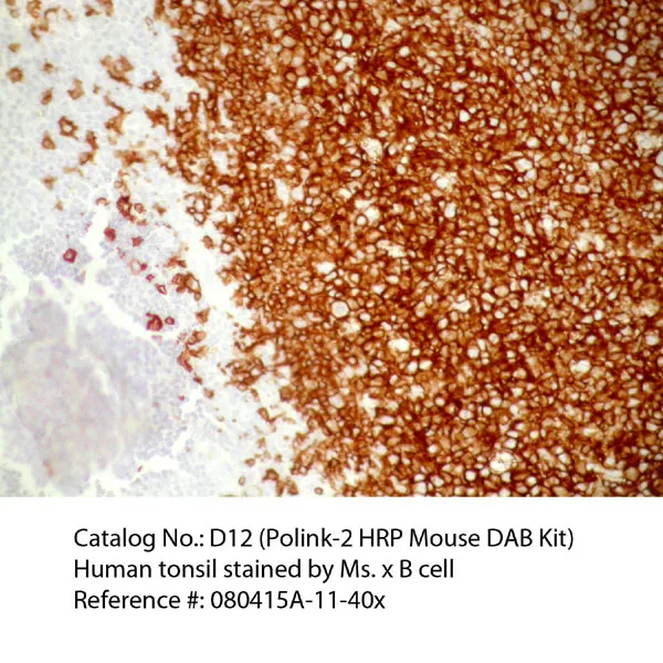 Polink-1 HRP Mouse DAB Detection Kit - image 1