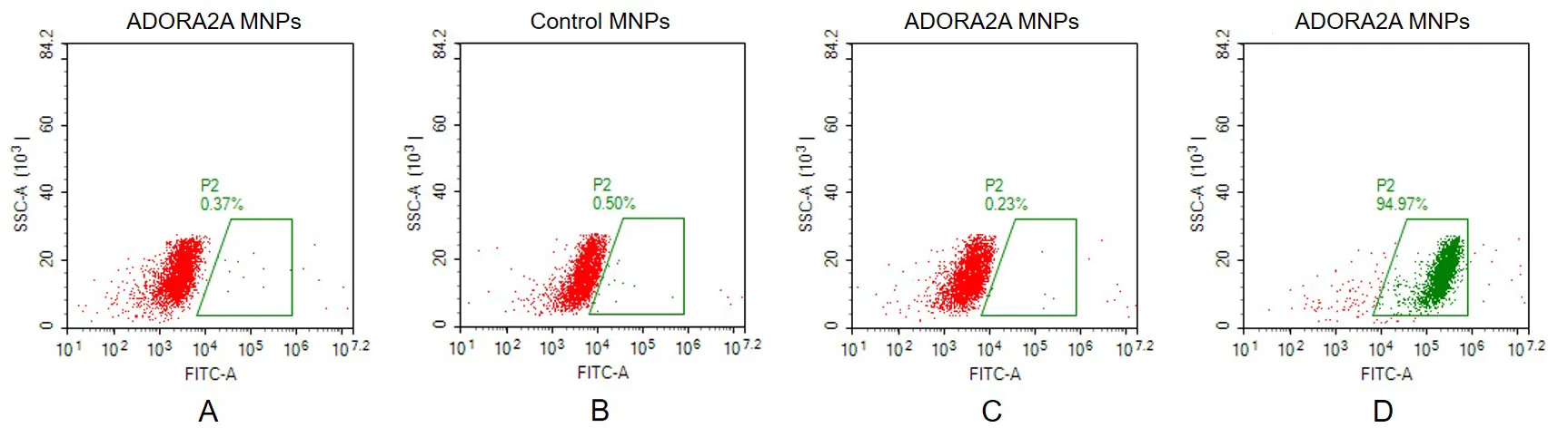 ADORA2A Human Recombinant Protein, Membrane Nanoparticle - image 1