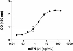 Ifnb1 (NM_010510) Mouse Recombinant Protein - image 1