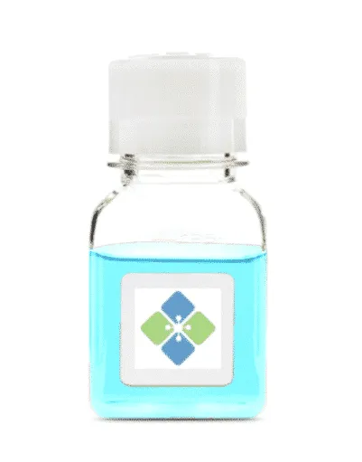 Biotinylated Histone Octamer (H3.1) - image 1