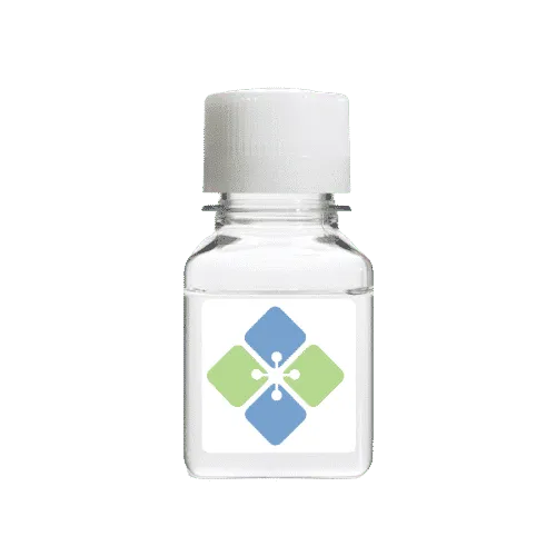 Dextran Conjugated to Rhodamine B/TRITC - image 1