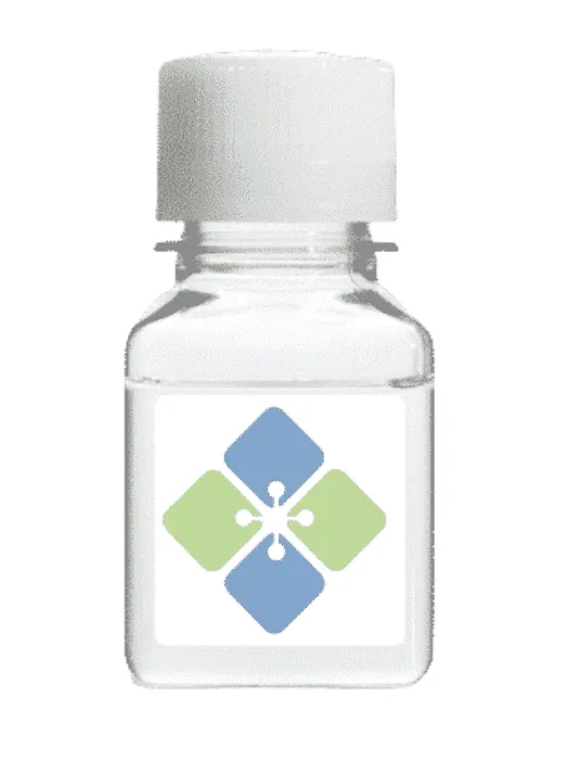 Streptavidin Conjugated to R-phycoerythrin - image 1