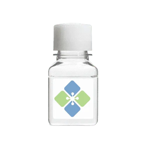 Goat anti-Mouse IgG (H&L) Conjugated to AP - image 1