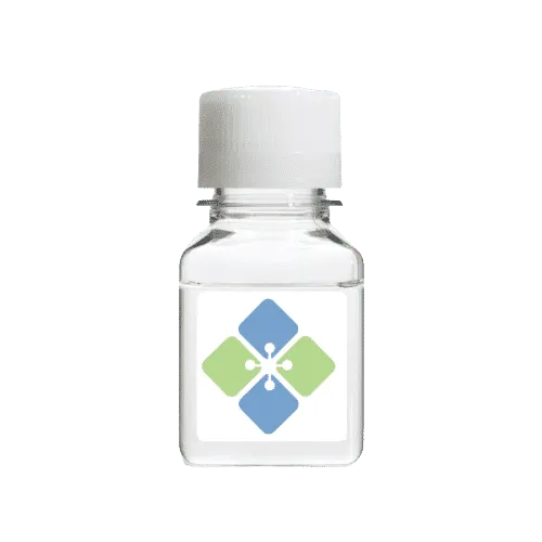Rabbit IgG Negative Control - image 1