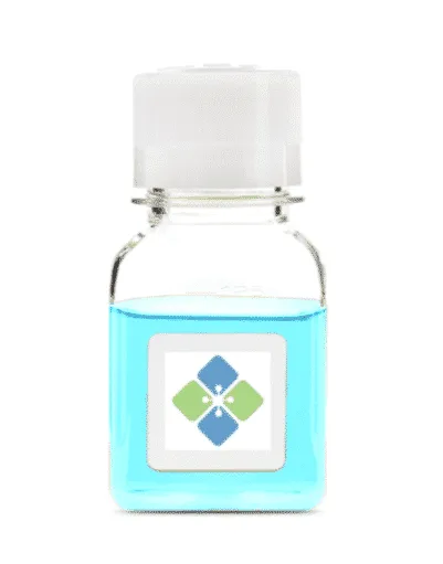 β-Galactosidase CRISPR Activation Plasmid - image 1