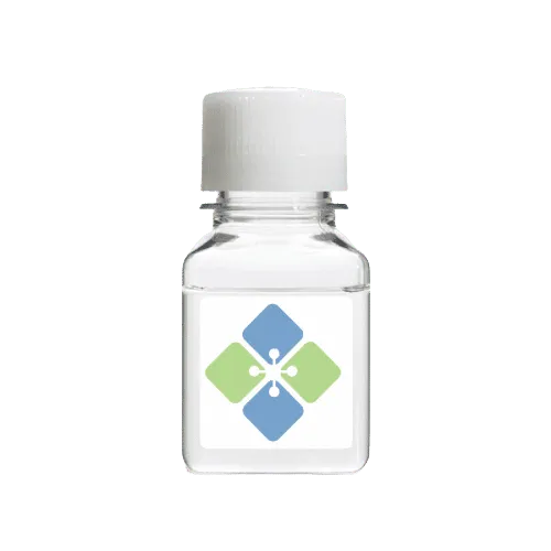 Angiotensin I Converting Enzyme 2 ACE-2/Caspase-1 Substrate - image 1
