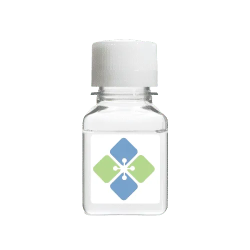 Fibroblast Growth Factor-6 (Human) - image 1