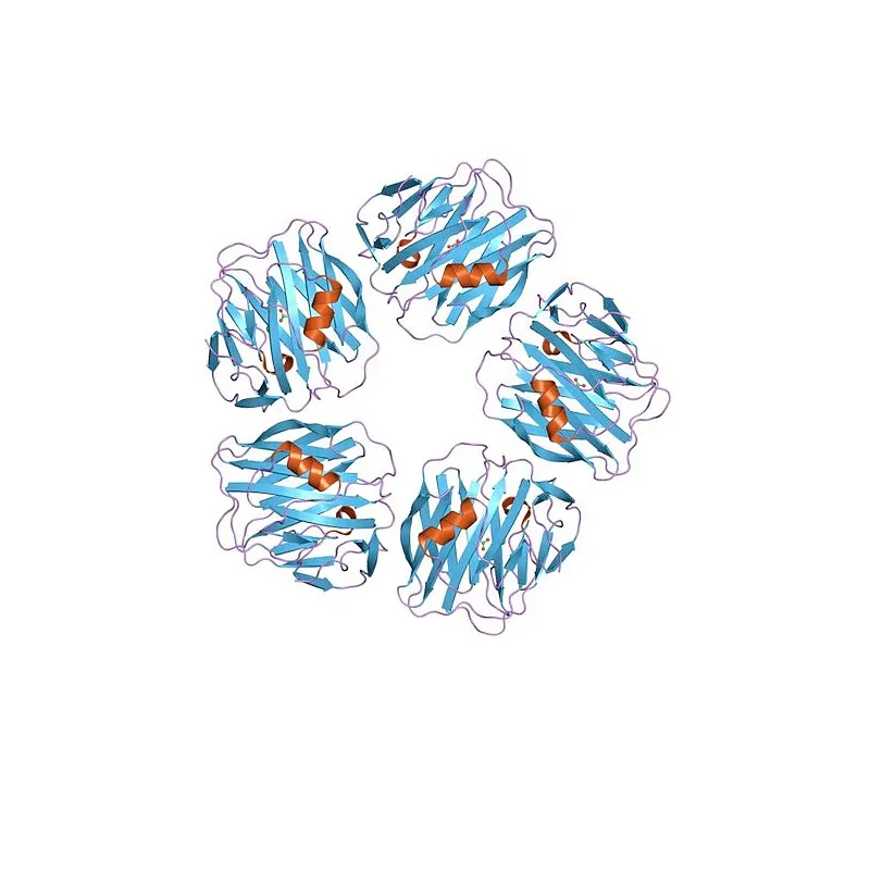 SAA Human Serum Amyloid A1 Recombinant - image 1
