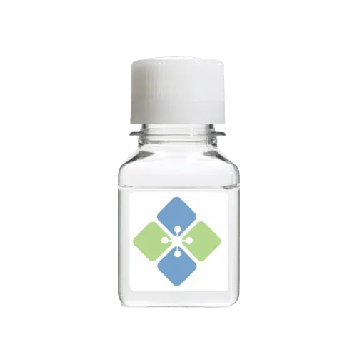 Human Recombinant Citrullinated Hsp70 - image 1