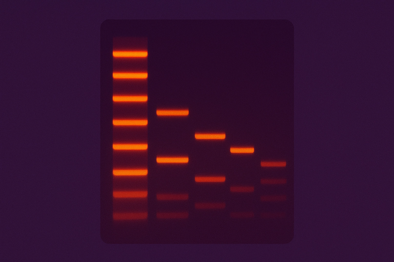Custom DNA Ladder or Marker Production
