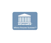 AthenaES