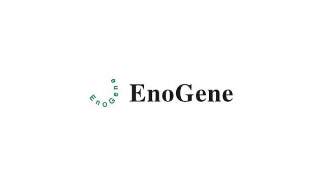 EnoGene