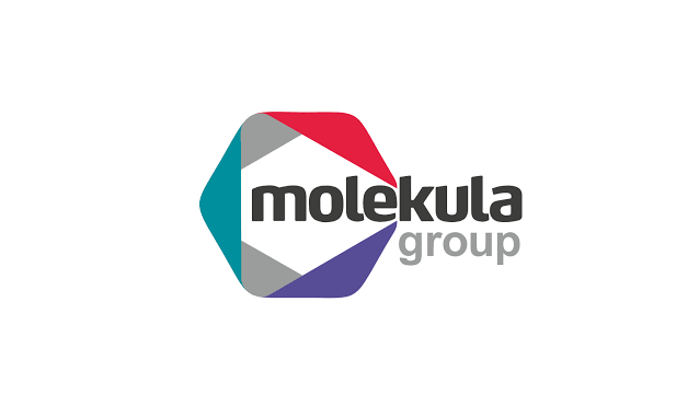 Molekula Group